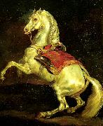 Theodore   Gericault cheval cabre, dit tamerlan Germany oil painting artist